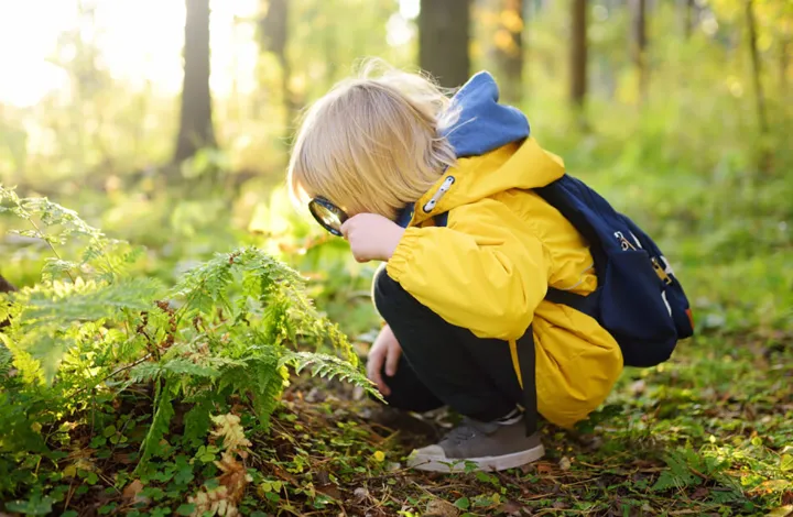 خطرناک‌ترین گیاهان سمی کانادا که باید از آنها اجتناب کنید